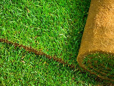 Artificial Turf & Putting Greens, Kapolei, HI