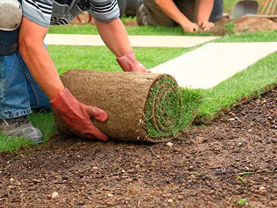 Sod Installation, Kapolei, HI